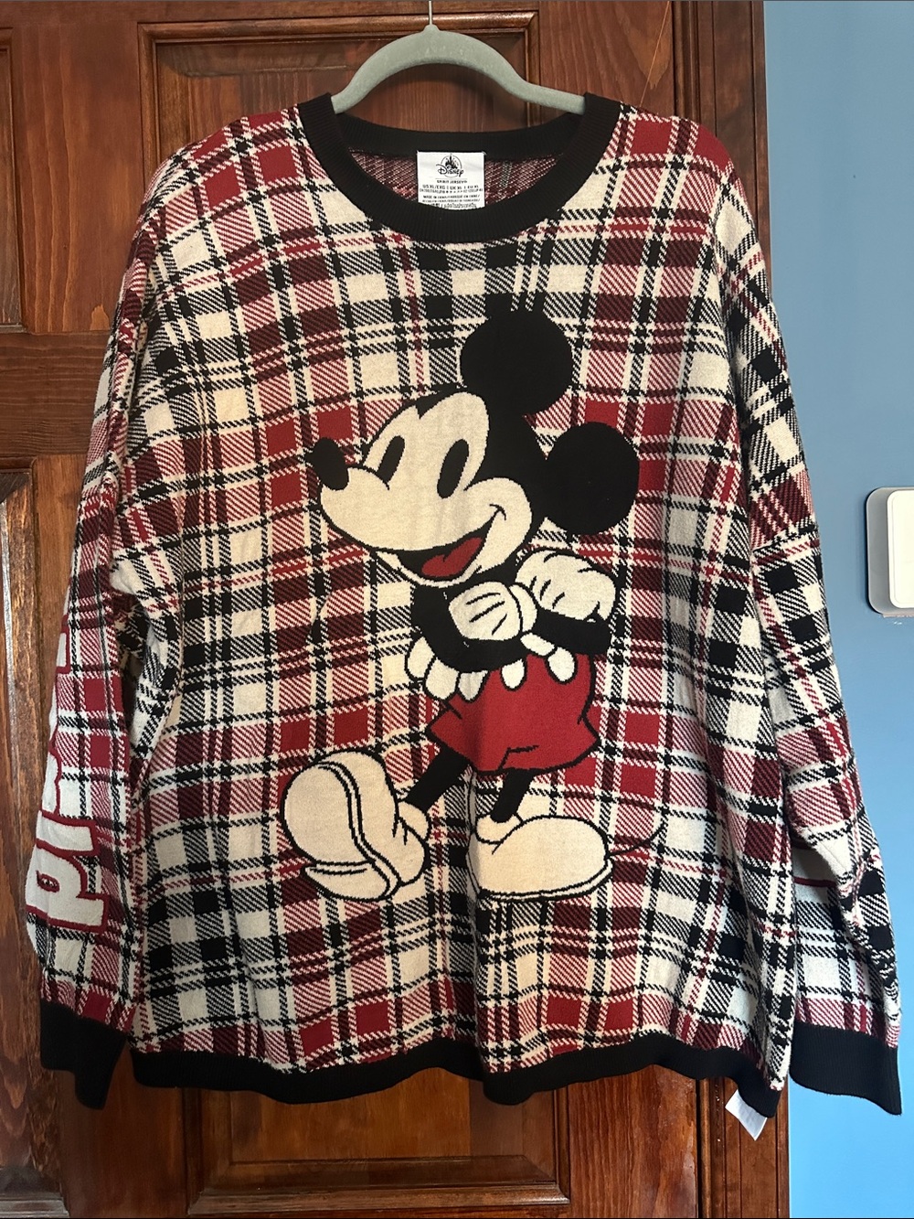 Disney Mickey Mouse Spirit Jersey